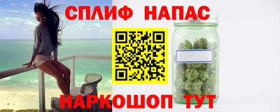 прущие грибы Апшеронск