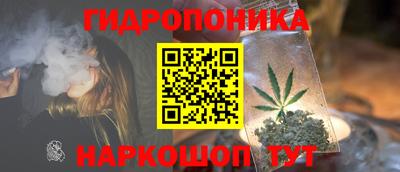 прущие грибы Апшеронск