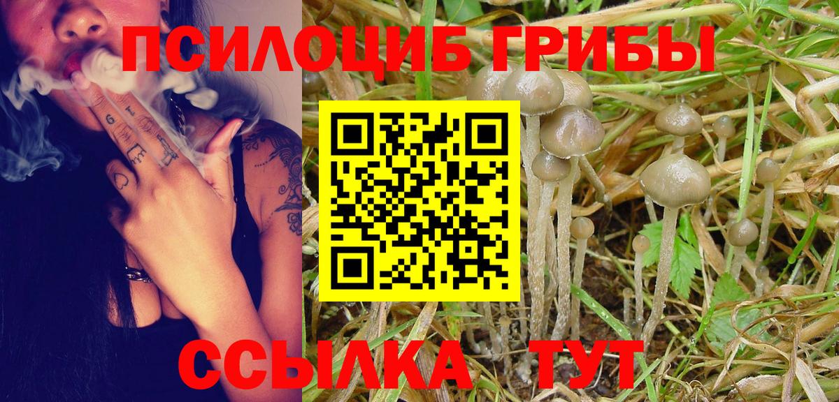 Псилоцибиновые грибы Cubensis Архангельск