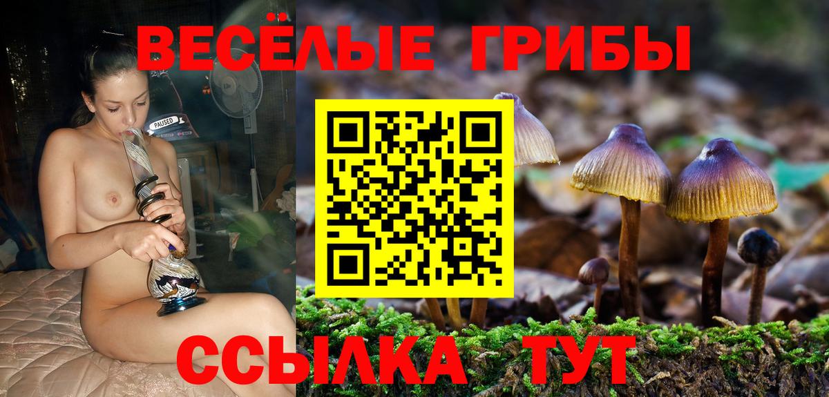 Галлюциногенные грибы ЛСД  Вход с VPN  Галлюциногенные грибы прущие грибы  Архангельск 